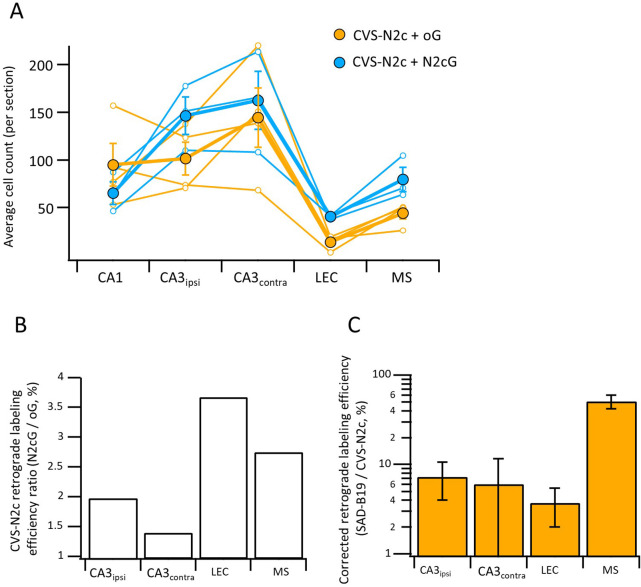 Figure 3—figure supplement 1.