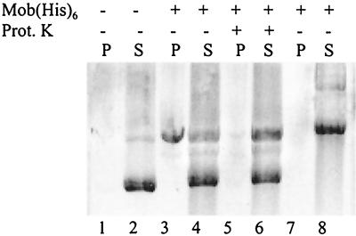 FIG. 6