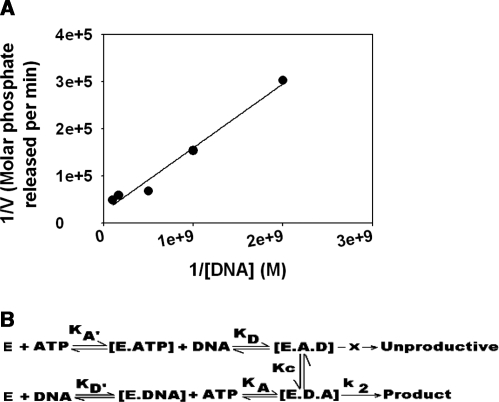 Figure 6.