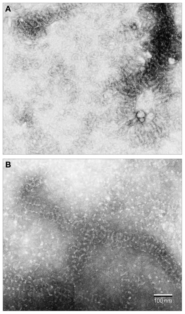 Fig. 5