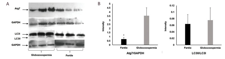 Fig.2