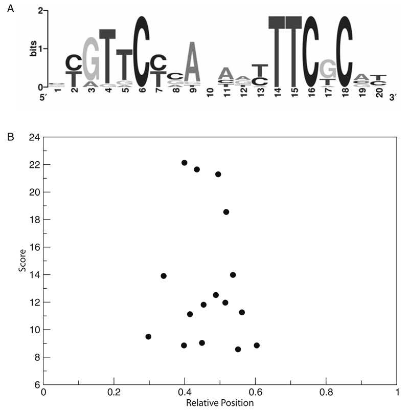 Fig. 1.3