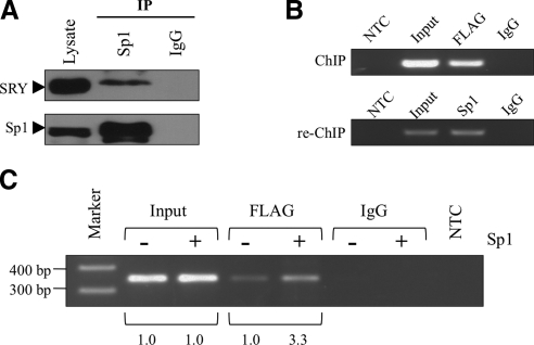 Figure 4.