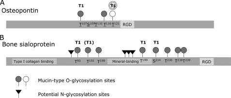 FIGURE 9.