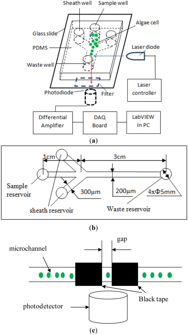 Figure 1.