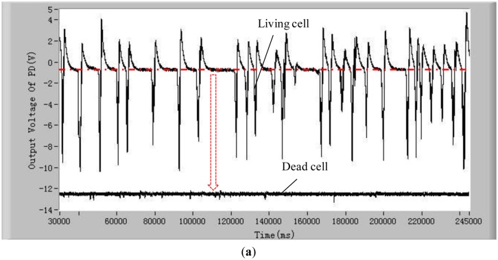 Figure 3.