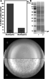 Fig. 4