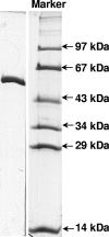 FIG. 8.