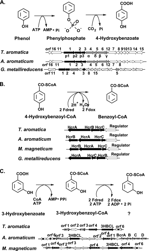 FIG. 9.