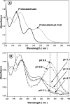 FIG. 7.