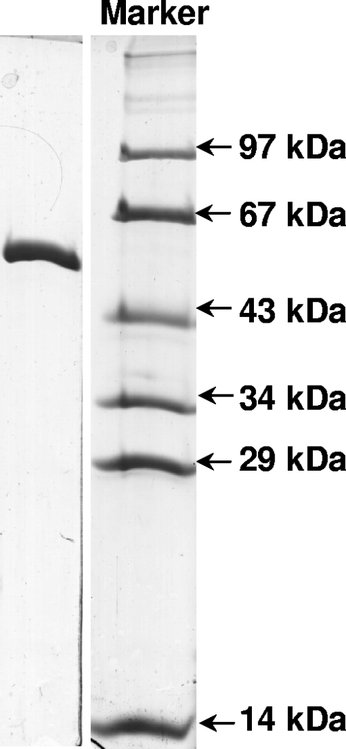 FIG. 8.