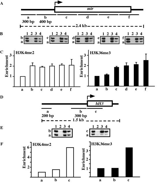 FIG. 6.