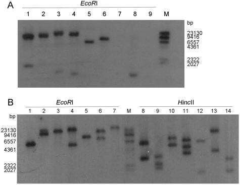 FIG. 3.