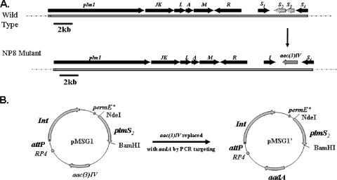 FIG. 2.