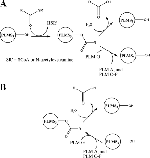 FIG. 6.