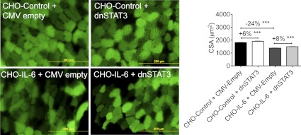 Fig. 6.