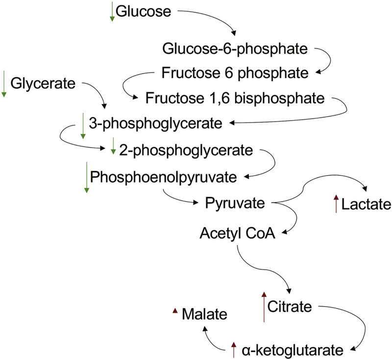 Fig. 11