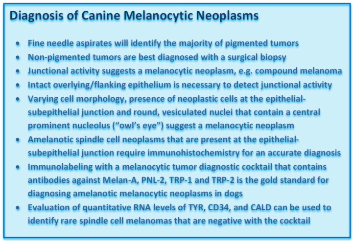 graphic file with name vetsci-09-00175-g003.jpg