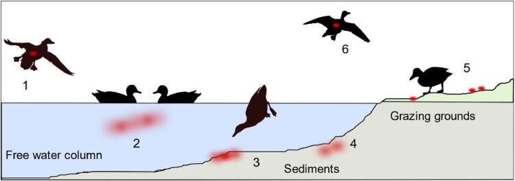 Figure 5.