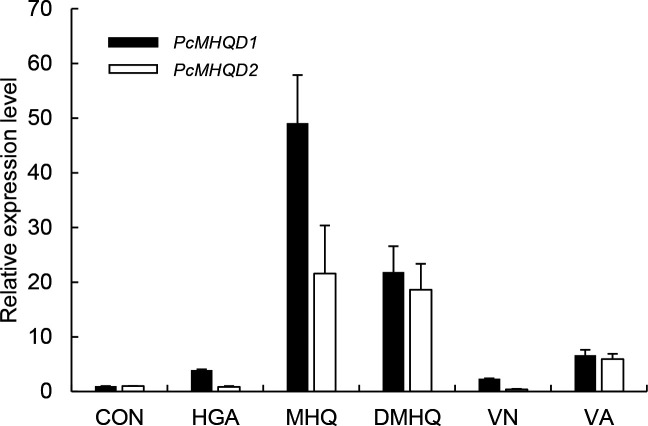 Fig 5