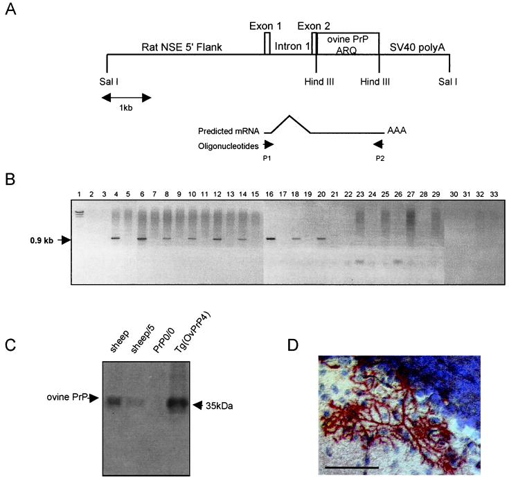 FIG. 1