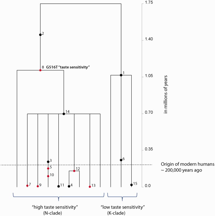 Fig. 3.