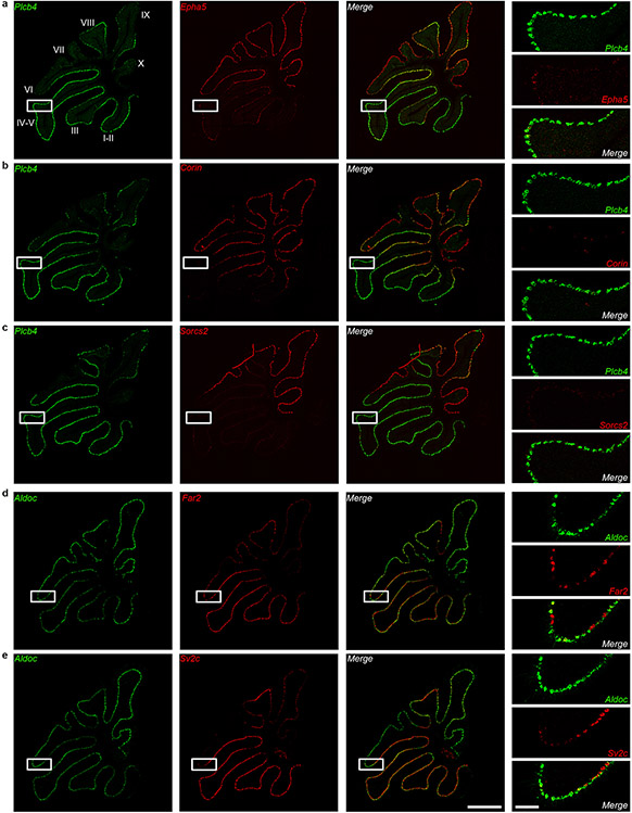 Extended Data Figure 3.