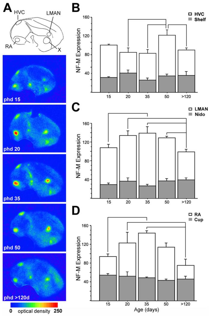 Fig. 12