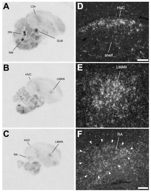 Fig. 14