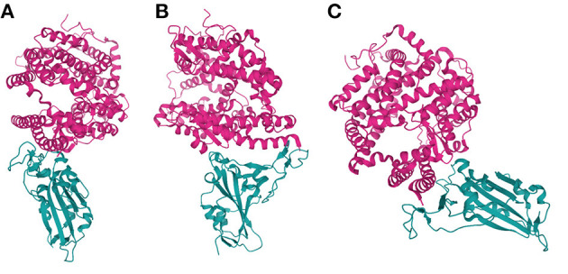 Figure 2