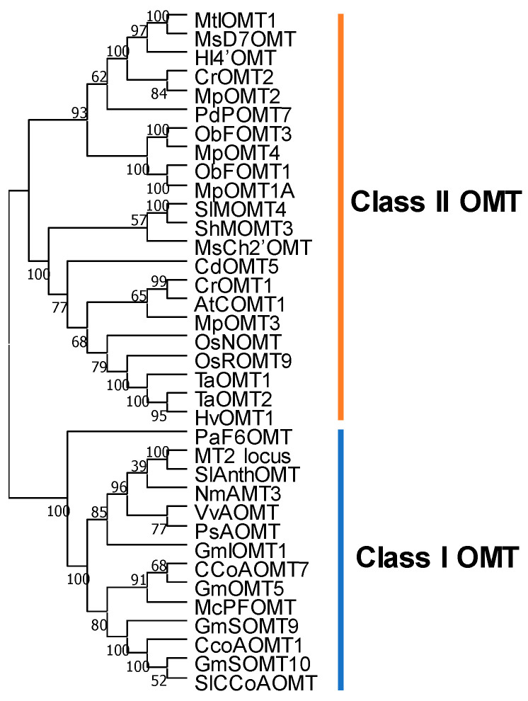 Figure 5