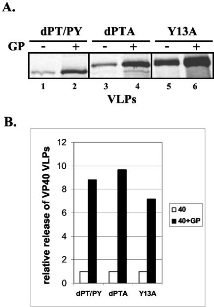 FIG. 6.