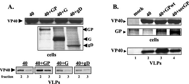 FIG. 7.