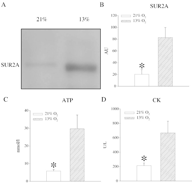 Fig. 1