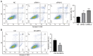 Figure 4. SIRT5 inhibits apoptosis in GC–2 spd cells. (A) Proportion of apoptotic SIRT5 (A) knockdown and (B) OE cells. ** P<0.01, *** P<0.001 vs. NC; ## P<0.01 vs. Ctrl. SIRT5, sirtuin 5; Ctrl, contr...
