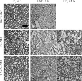 Fig. 4