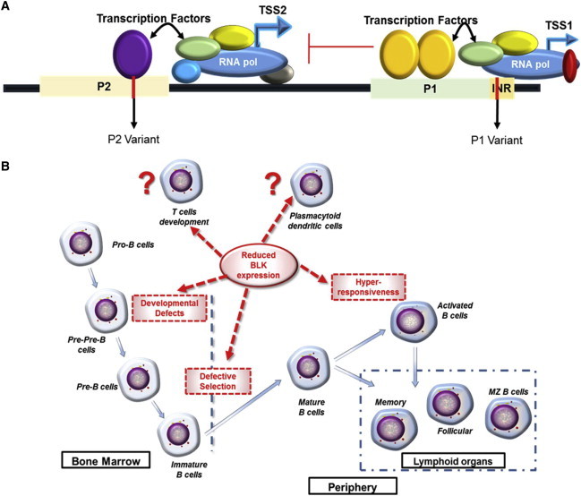 Figure 4