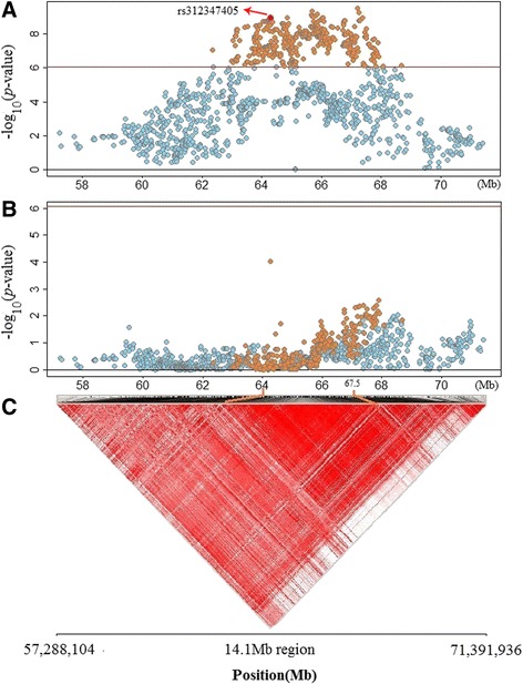 Fig. 3