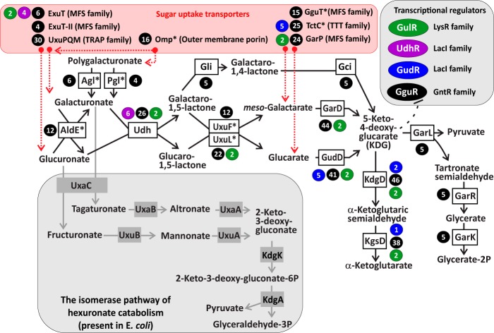 FIG 1