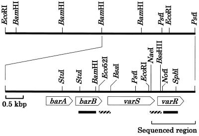 FIG. 1