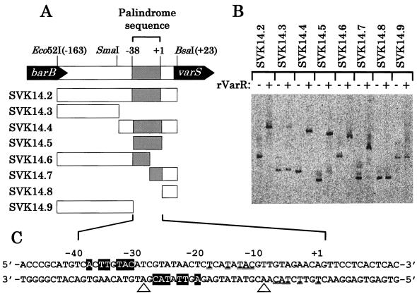 FIG. 6