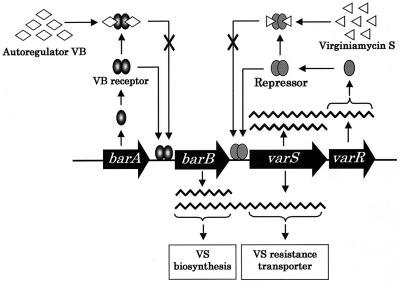 FIG. 7