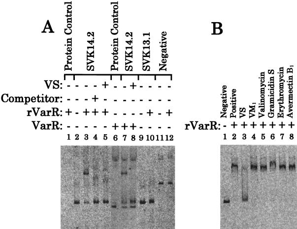 FIG. 5