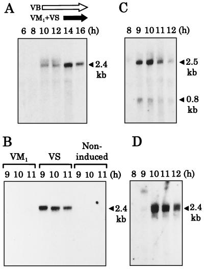 FIG. 3