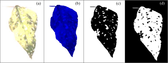 Figure 9.