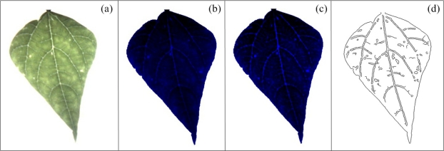 Figure 10.