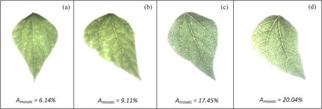 Figure 17.