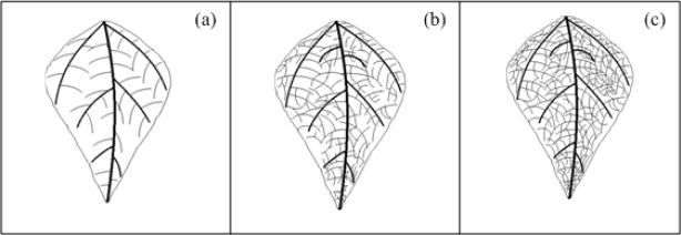 Figure 5.