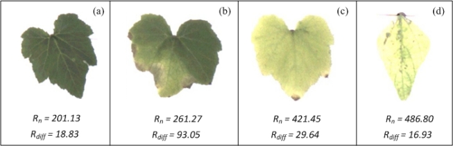 Figure 13.