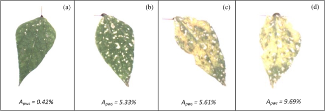 Figure 16.